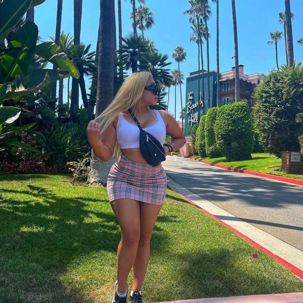 Plaid Pink Clueless Skirt